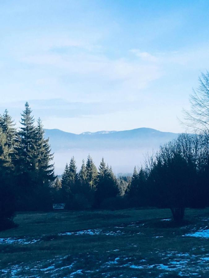 Buekkfoi Vendeghaz Appartement Borzont Buitenkant foto